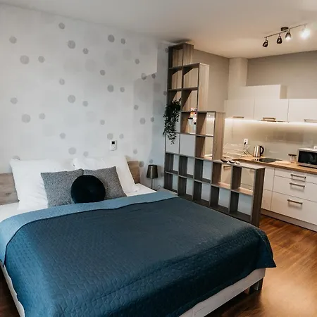 Ah Radnica Ii Free Parking Apartment Kosice